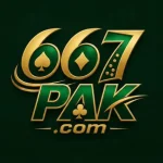 667Pak Game