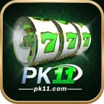 PK11 Game